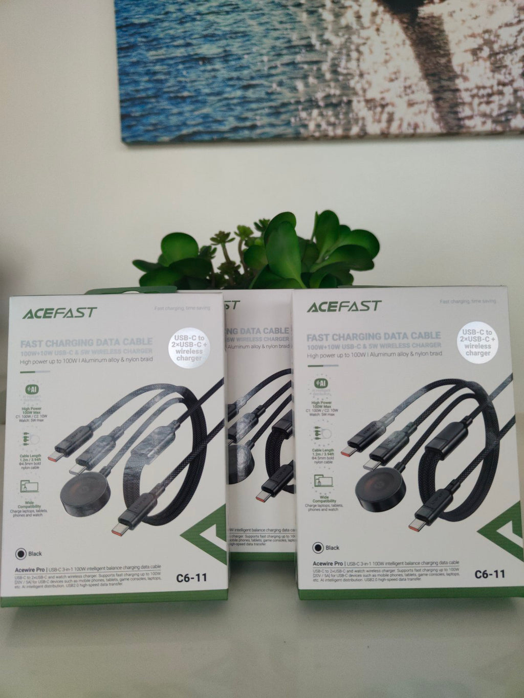 ACEFAST C6-11 USB-C 3-IN-1 100W CHARGING CABLE (1.2M) BLACK